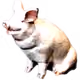 111042177569981307319984431343161443643970855535286814150346497119496957853697
