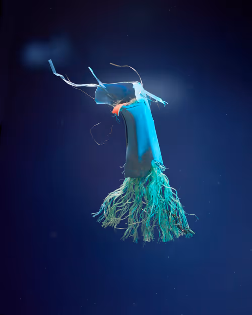 Item #109516060790128716410476023957010007194992899360469946350860993262217104195585 Media