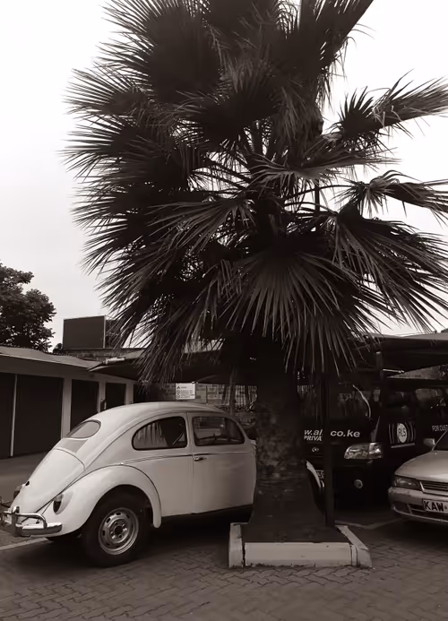 Item #26959255439957110233077989937802681477686360662735004345703791626623136038913 Media