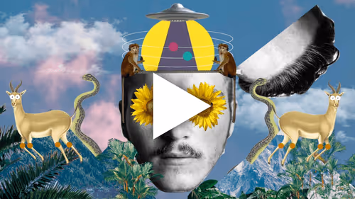 Item #38564597034361499404624058733000007751074283871891055372290281505479857274881 Media