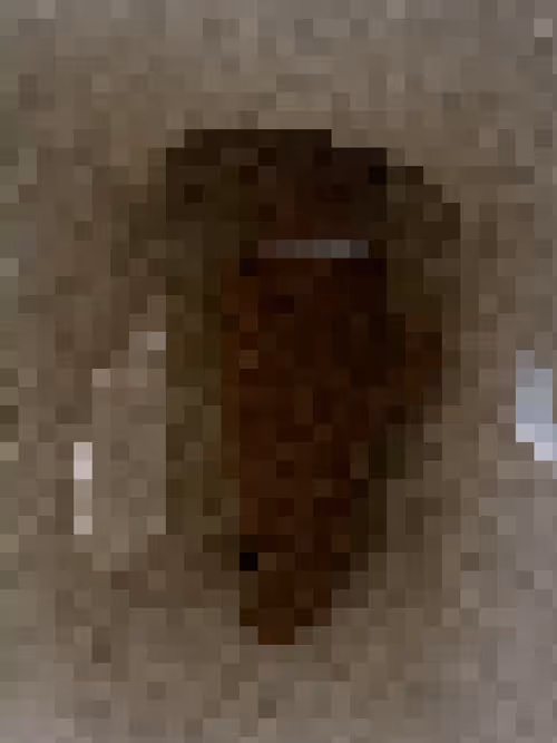 Item #2850415134272365380187775685678842410458265265709128331682257539261119070209 Media