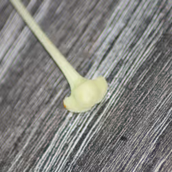 51124555051901614330264480006545612592022390906904121289505624510731678384129