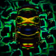 50906938105091829309235542663863718266965554436545613536366025180221318103041