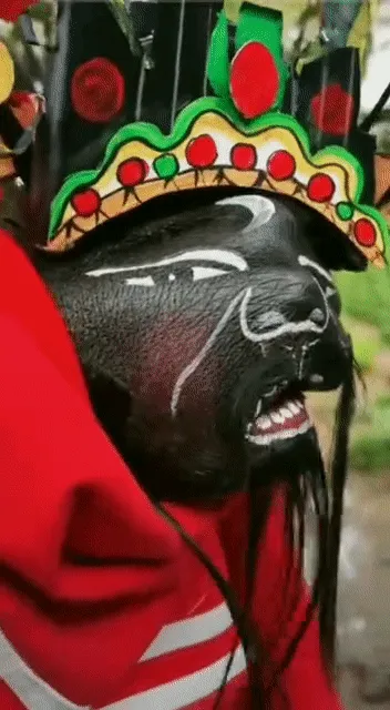 Item #98297886293652092657371597788592247398680073041274723207675992921819632893953 Media