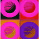 107527243800679912544368421787461689537019414346983172643975287354932066254849