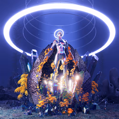 Chillfolio Collection