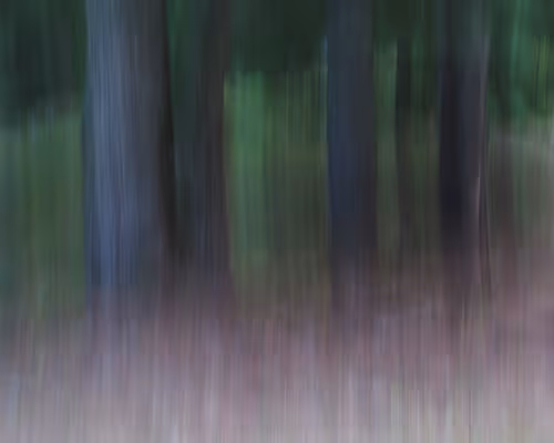 Item #9041475177278098413141713289664909263296173655952934335636381002949279612929 Media