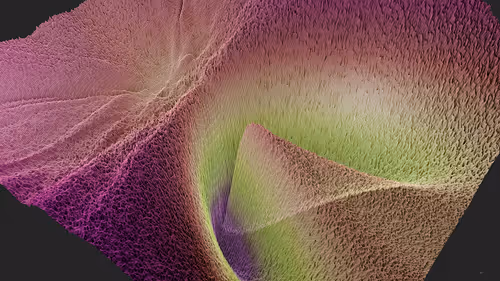 Item #87855534987201374925371944818297600221317149567981150322417554452803861086209 Media