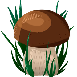 No14_mushroom