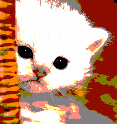 23538819986925566434507765811444276093104658907602947149672917341608416903169