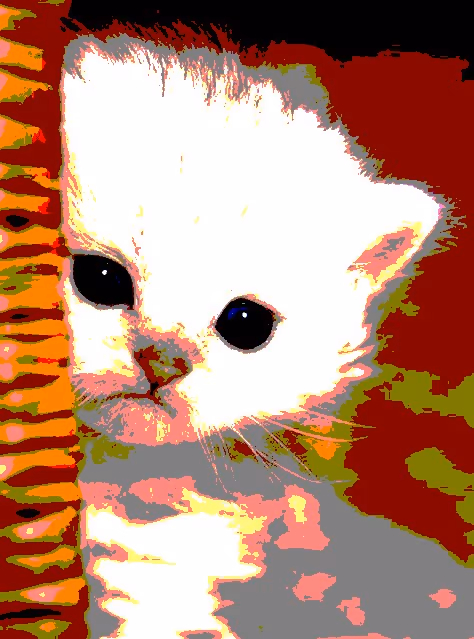 Item #23538819986925566434507765811444276093104658907602947149672917341608416903169 Media