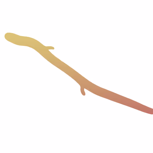 17755440104982517953853418754656261360363945618725315047813017612144305242113