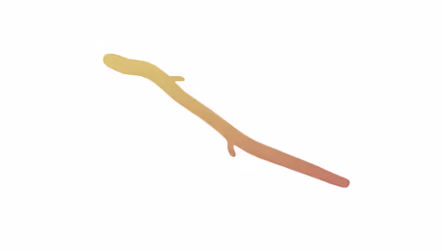 Item #17755440104982517953853418754656261360363945618725315047813017612144305242113 Media