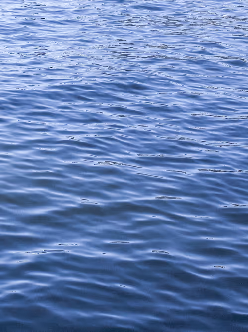 Item #91652045796072726772203249160121619727973796758892285073914834451680062341121 Media