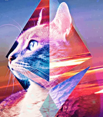 56114814756646127397705002134489221206320113324181291230627375195311902294017