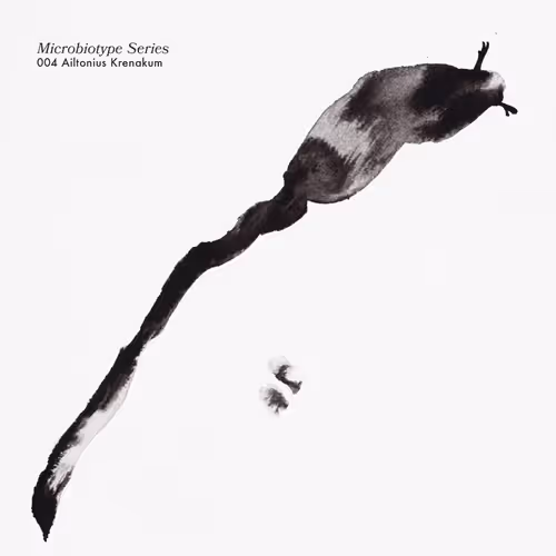 Item #20537471166803336483697920459392139182541277411208615206121837224003901587457 Media