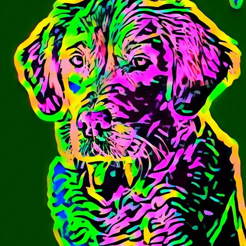 50830097462543580601473563981388698009005024090223633461481089563352018976769