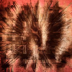 phoenix rising out of the matrix