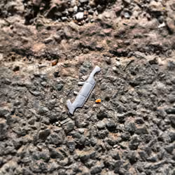 fossilised driver