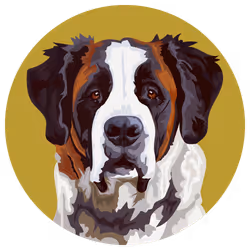 54766349128176429303044182404049584425310907481653304317570413829777262641153