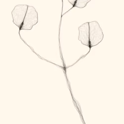 Les Fleurs du mal n.3