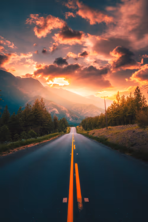 Item #62546128571173573861370652936856218284243546780344801453551937482733572325377 Media