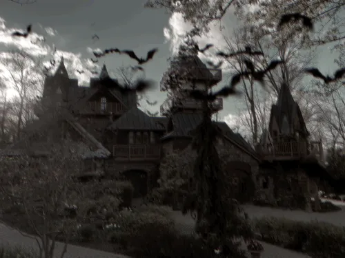 Item #60725800993429442790109822101510222634365938038932659137570571539808904019969 Media