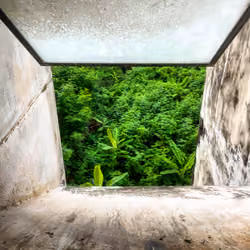 The Concrete Forest