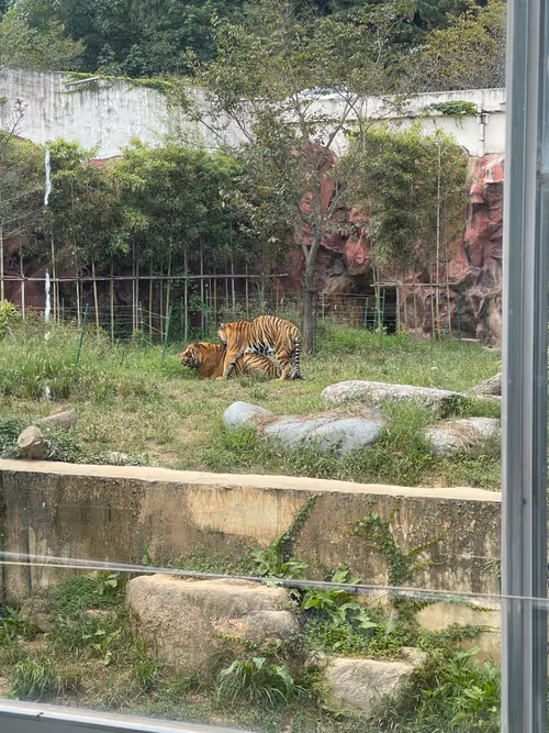 Item #26543938424039765679818423670625330766439572283060287168957744678483068452865 Media