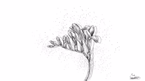 Item #92158263597774240696216460842119287499032570896628831031377871233281853227009 Media