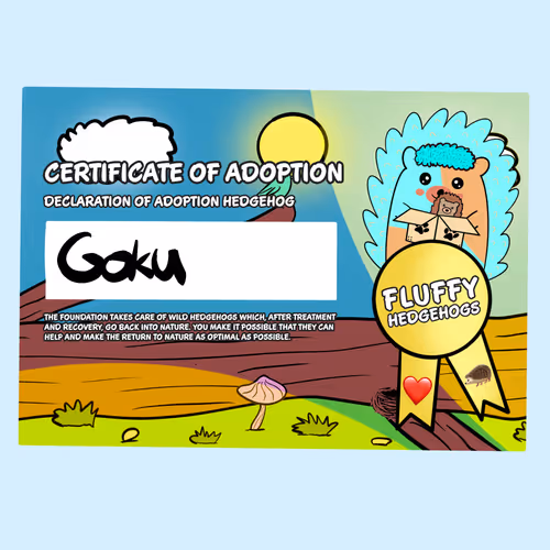 Fluffy Adoptions