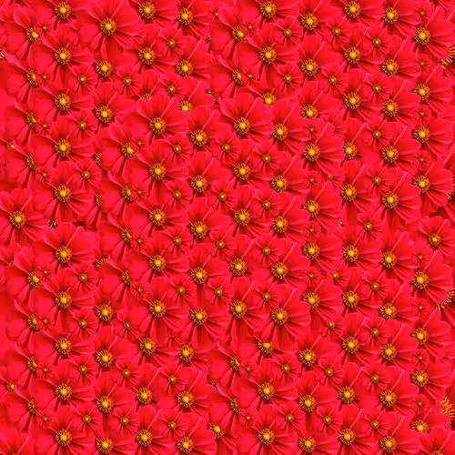 108732538262654794566822566020253249932785486253037348318520768367208876212225