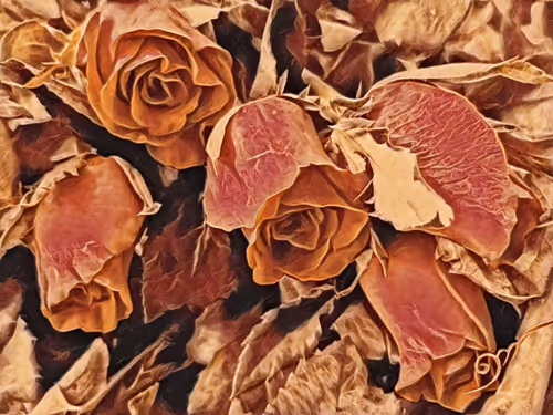 Item #109471203920939043635820920116395936685990389756447863820850984773119538888705 Media