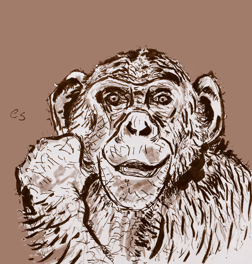 Item #39091703505809475788956350880894769302011138939225893693019847039876534894593 Media