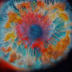 Colorburst #4