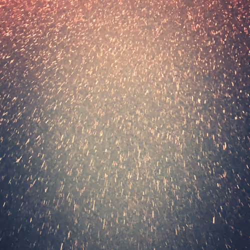 candy_hsu Collection