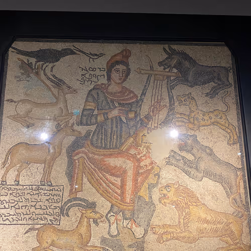 Untitled Collection #526478470