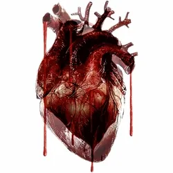 Human Heart Beat - Fear