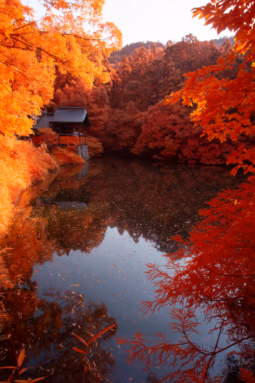 Item #22395847233698230988153994930505573466533253144819962570264798533936708845569 Media