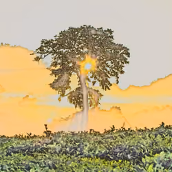 The spirit of trees #7