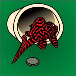 81664083123670143983968740139941474364733981378414170565535211496044786352129