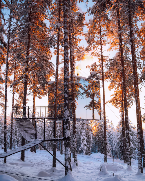 Item #14416656700475663864726672344569766568452912279528818547653479141726750769153 Media