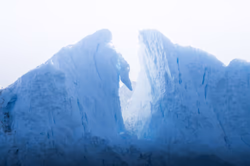 Item #55403408665547609189092792610750107765895786822855229620827418988841785098241 Media