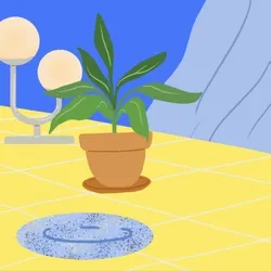 #2 Dancing Plants(only when I don't see them)