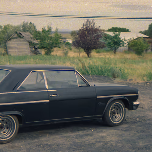 Americansummer