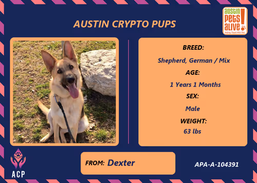 Item #17951378556605612276483806045649535824451571419947225201384628524945640521729 Media