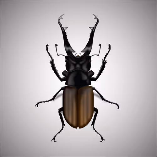 Item #15006194083360452165747859706250248338064014496976576965207408226216341143553 Media