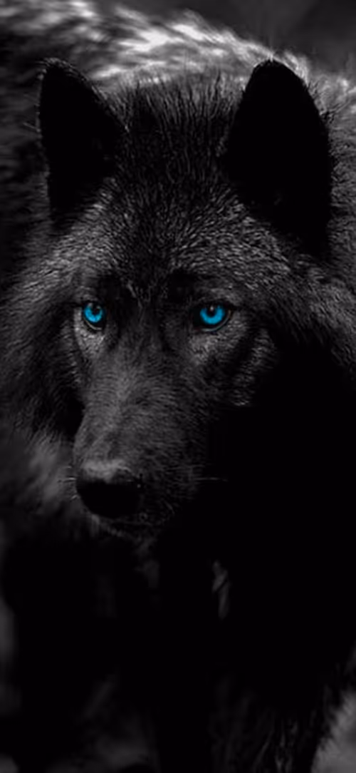 Item #81353619104543552761017849026197782989935589479573878427591292121157048729601 Media