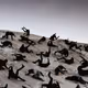 77796582538637659253080515519361525842477380257073021786458905051324341026817