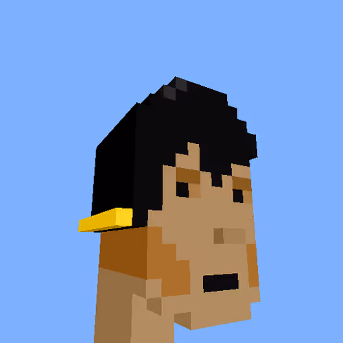 PunkVoxels #4419